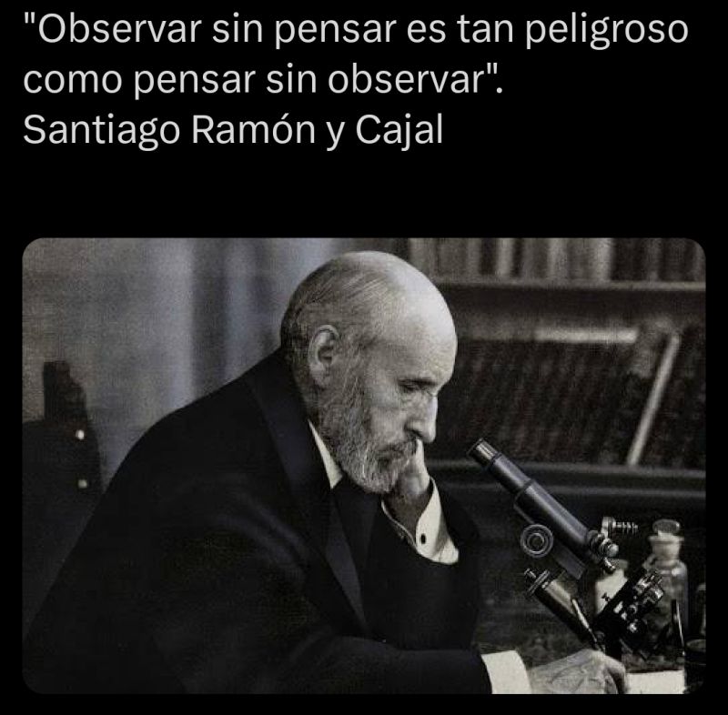 observar sin pensar es tan peligroso.jpg